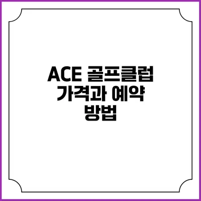 ACE 골프클럽 가격과 예약 방법