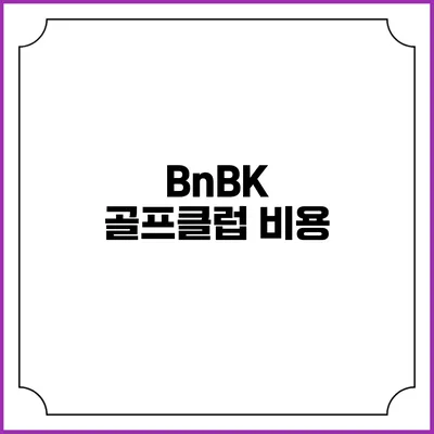 BnBK 골프클럽: 비용