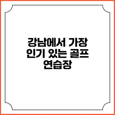 강남에서 가장 인기 있는 골프 연습장