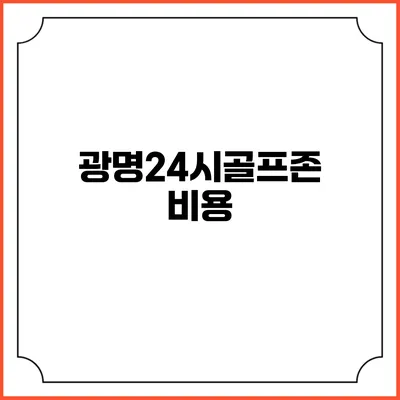 광명24시골프존: 비용