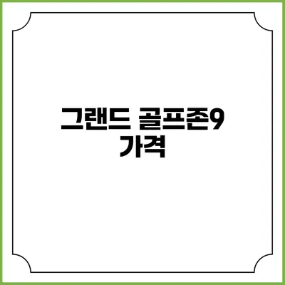 그랜드 골프존9: 가격