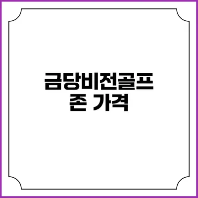 금당비전골프존: 가격