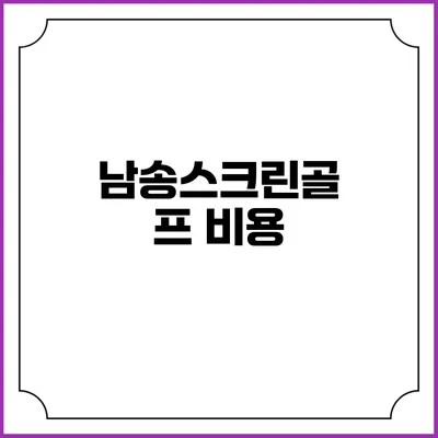 남송스크린골프: 비용