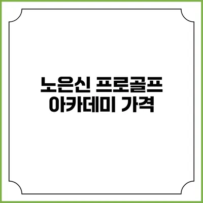 노은신 프로골프 아카데미: 가격