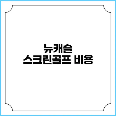 뉴캐슬 스크린골프 비용