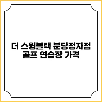 더 스윙블랙 분당정자점 골프 연습장: 가격