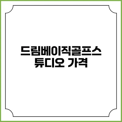 드림베이직골프스튜디오: 가격