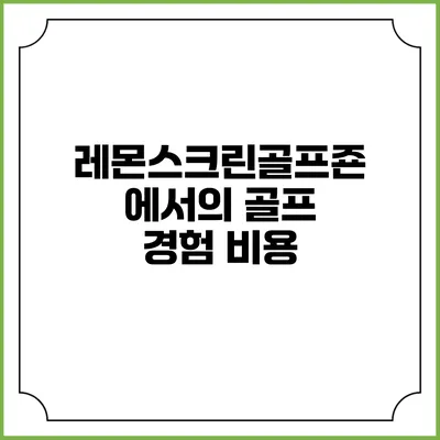 레몬스크린골프죤에서의 골프 경험: 비용