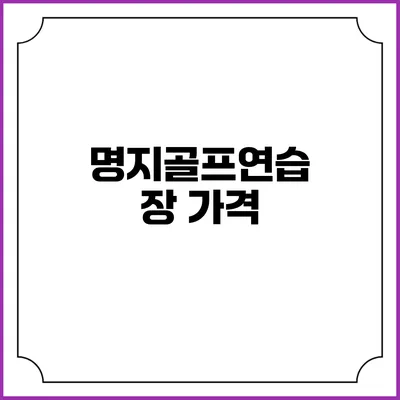 명지골프연습장: 가격
