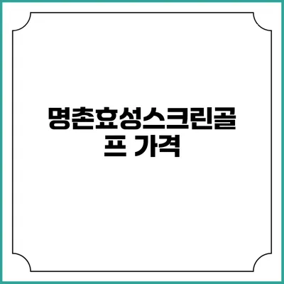 명촌효성스크린골프: 가격