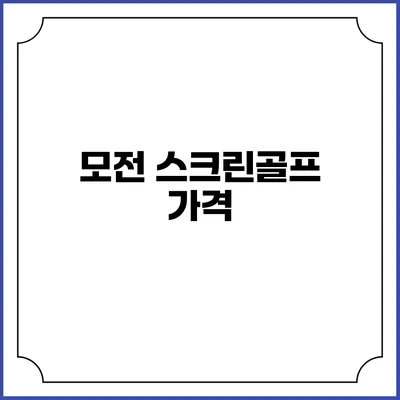 모전 스크린골프: 가격