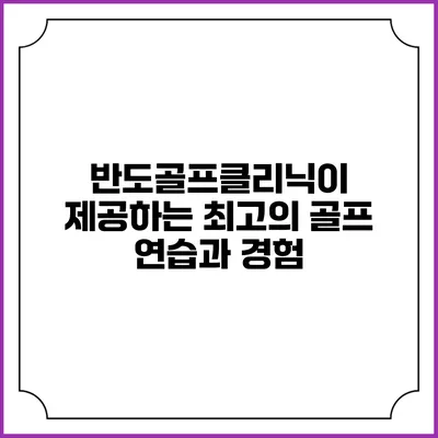 반도골프클리닉이 제공하는 최고의 골프 연습과 경험