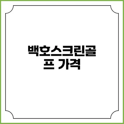 백호스크린골프: 가격
