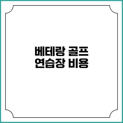 베테랑 골프 연습장: 비용