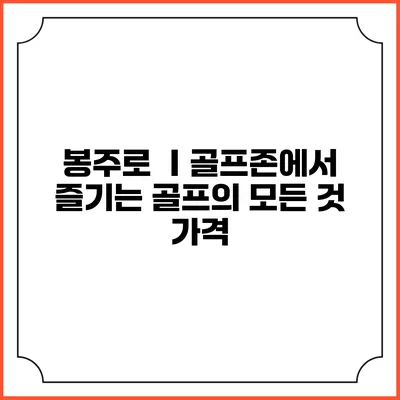 봉주로 Ⅰ골프존에서 즐기는 골프의 모든 것: 가격