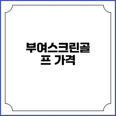 부여스크린골프: 가격