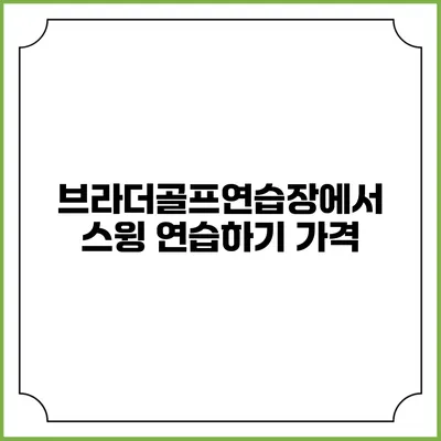 브라더골프연습장에서 스윙 연습하기: 가격