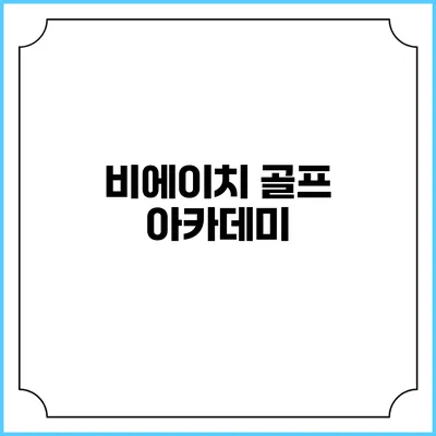 비에이치 골프 아카데미
