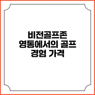 비전골프존 영통에서의 골프 경험: 가격
