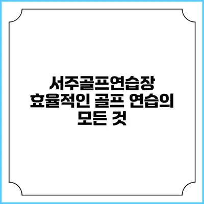 서주골프연습장 : 효율적인 골프 연습의 모든 것
