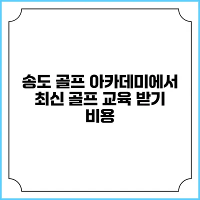 송도 골프 아카데미에서 최신 골프 교육 받기: 비용