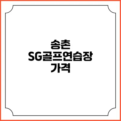 송촌 SG골프연습장: 가격