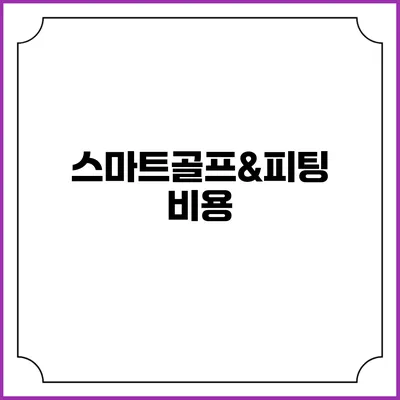 스마트골프&피팅: 비용