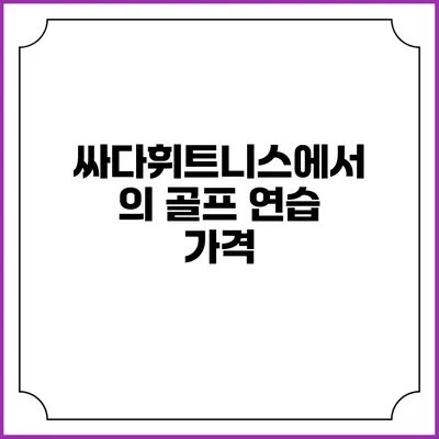 싸다휘트니스에서의 골프 연습: 가격