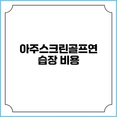아주스크린골프연습장: 비용