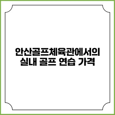 안산골프체육관에서의 실내 골프 연습: 가격