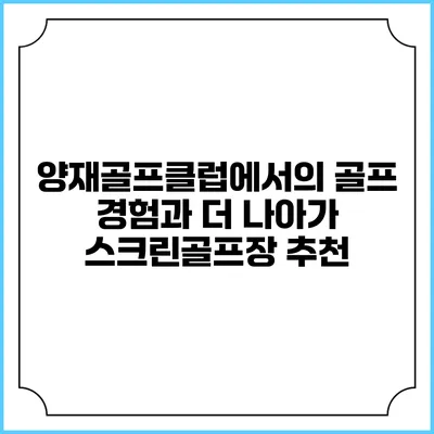 양재골프클럽에서의 골프 경험과 더 나아가 스크린골프장 추천
