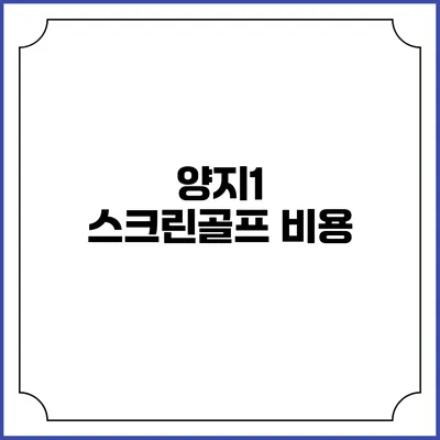 양지1 스크린골프: 비용