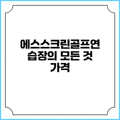 에스스크린골프연습장의 모든 것: 가격