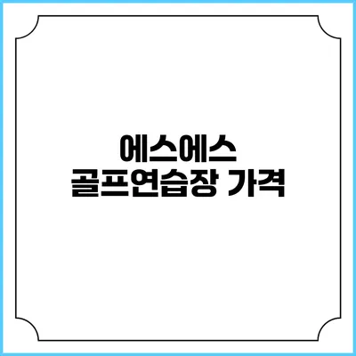 에스에스 골프연습장: 가격