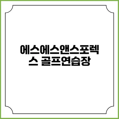 에스에스앤스포렉스 골프연습장