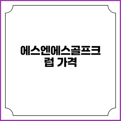 에스엔에스골프크럽 가격