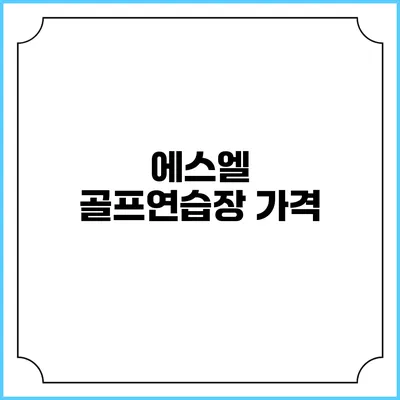 에스엘 골프연습장: 가격