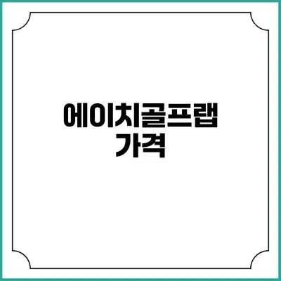 에이치골프랩: 가격