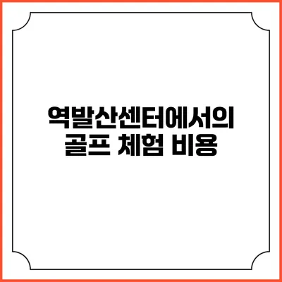 역발산센터에서의 골프 체험: 비용