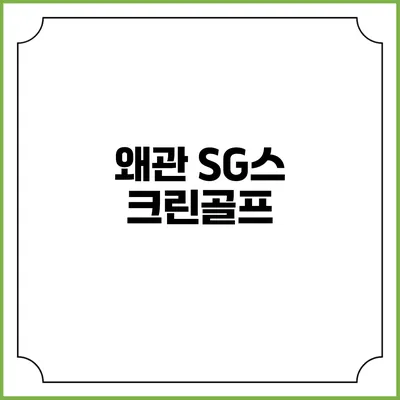 왜관 SG스크린골프