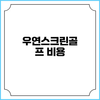 우연스크린골프: 비용