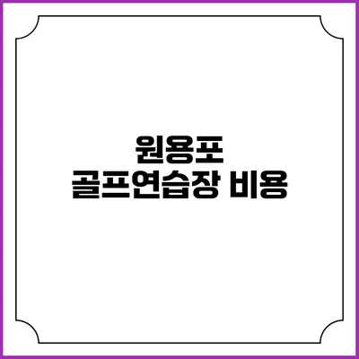 원용포 골프연습장: 비용