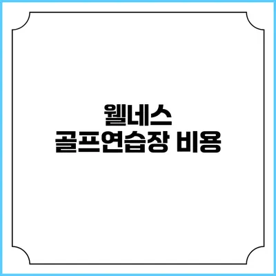웰네스 골프연습장: 비용