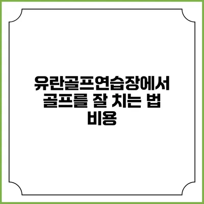 유란골프연습장에서 골프를 잘 치는 법: 비용