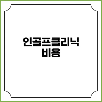 인골프클리닉: 비용