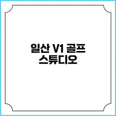 일산 V1 골프 스튜디오