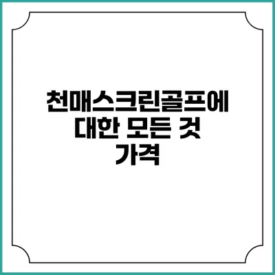 천매스크린골프에 대한 모든 것: 가격