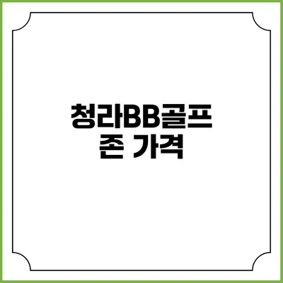 청라BB골프존: 가격