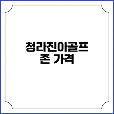 청라진아골프존: 가격