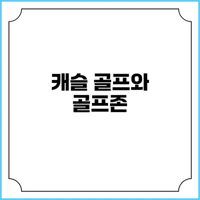 캐슬 골프와 골프존